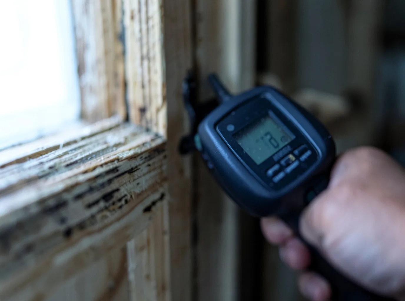 Moisture Inspection And Documentation in Denham Springs, LA